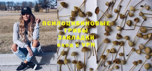 ПСИЛОЦИБИНОВЫЕ ГРИБЫ Белокуриха