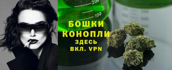 ПСИЛОЦИБИНОВЫЕ ГРИБЫ Белокуриха