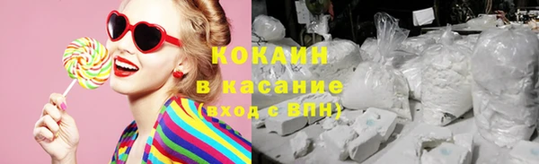 ПСИЛОЦИБИНОВЫЕ ГРИБЫ Белокуриха