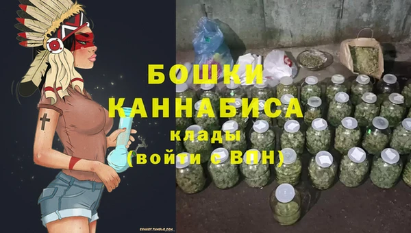 ПСИЛОЦИБИНОВЫЕ ГРИБЫ Белокуриха