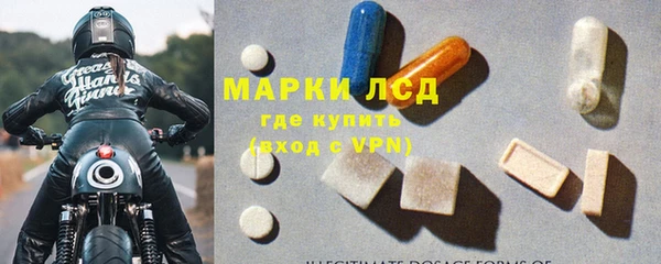 ПСИЛОЦИБИНОВЫЕ ГРИБЫ Белокуриха